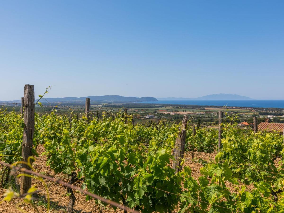 Holiday Home Il Corbezzolo-3 By Interhome San Vincenzo Buitenkant foto